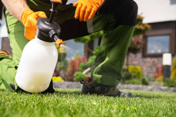 Wasp Removal Services in Ocean Grove, NJ
