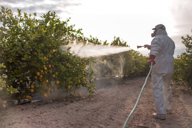 Insect Control in Ocean Grove, NJ
