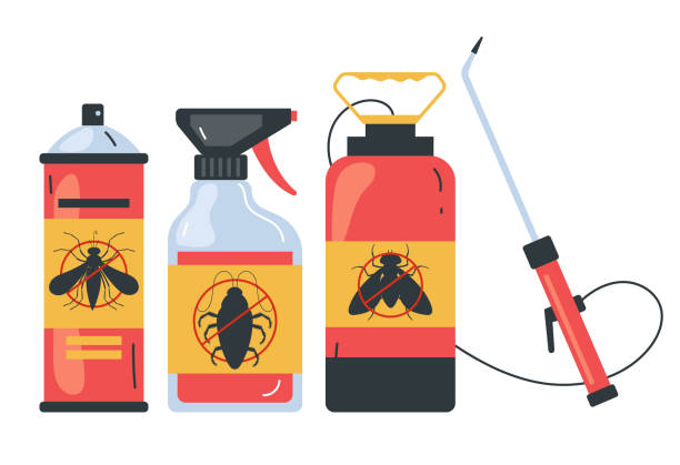 Best Spider Control Near Me  in Ocean Grove, NJ