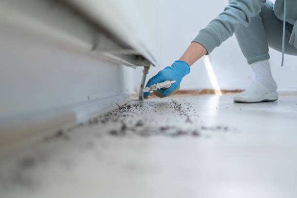 Best Local Pest Control Services  in Ocean Grove, NJ